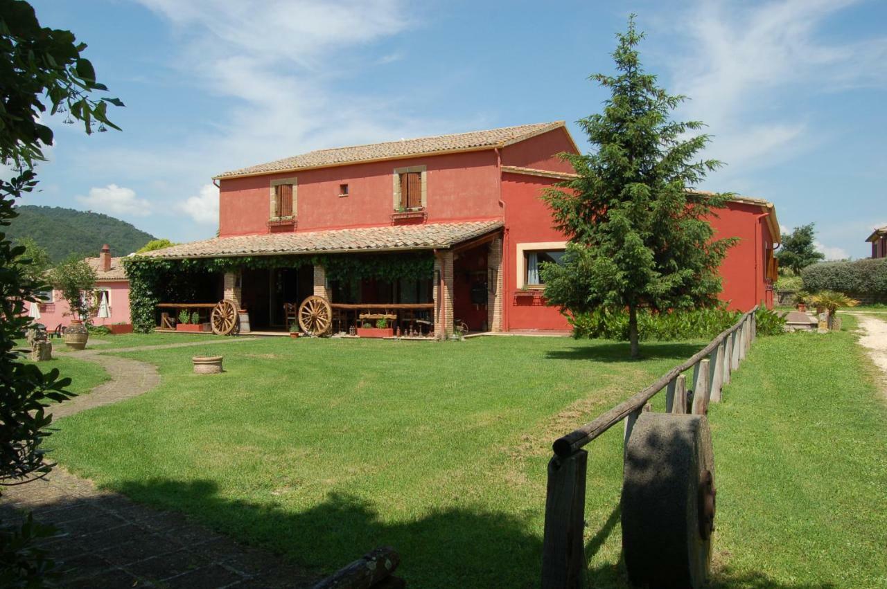 Agriturismo Castro Villa Ischia di Castro Eksteriør billede